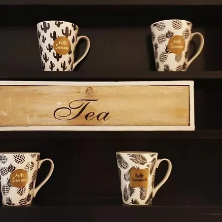 Nicolas 1 & Cozy 2 סטוונגר